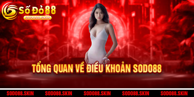 Điều khoản Sodo88 - Minh bạch, rõ ràng, bảo vệ quyền lợi người chơi 1 Tổng quan về Điều khoản Sodo88