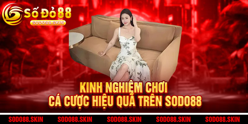 Đăng ký Sodo88 – Ưu đãi cực chất, thắng lớn cực đã 3 Kinh nghiệm chơi cá cược hiệu quả trên Sodo88
