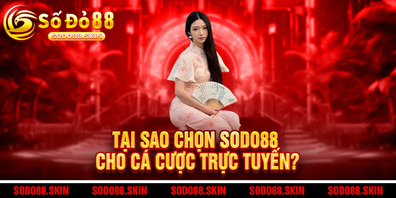 Giới Thiệu Sodo88 - Điểm đến cá cược đỉnh cao, uy tín hàng đầu 2 Tại Sao Chọn Sodo88 Cho Cá Cược Trực Tuyến?